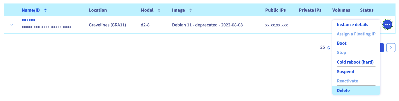 public cloud instance deleite