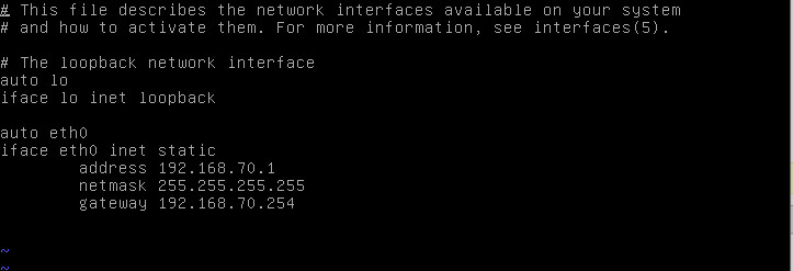 Private IP address on Linux
