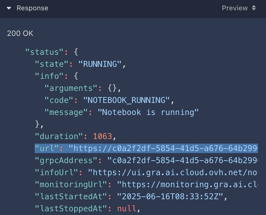 Access a Notebook API
