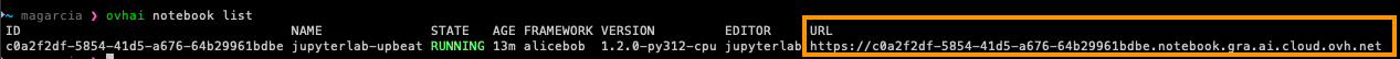 Access a Notebook ovhai CLI