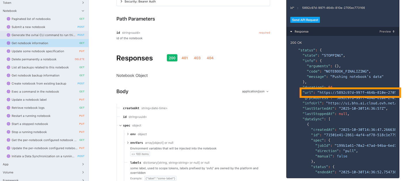 Access a Notebook API