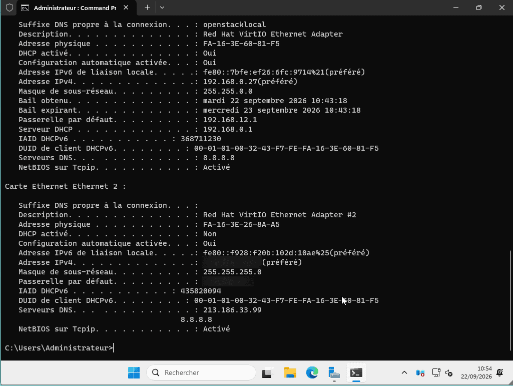 ipconfig output: private card configured by DHCP, public card (Ethernet 2) with a static IP