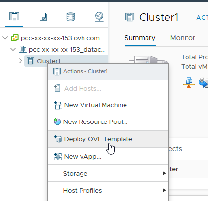 Desplegar la plantilla