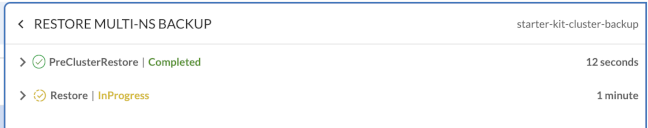 Multi-Namespace Restore Phase 2