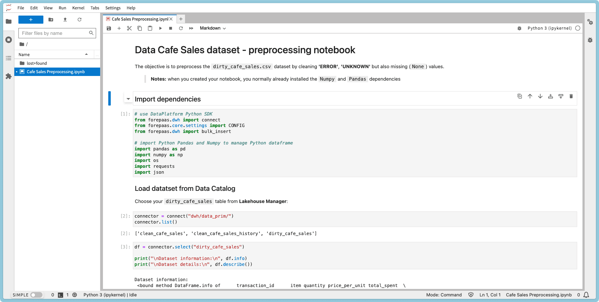 step 10 - Clean dataset and save it into S3 bucket — Ai endpoints step (2)
