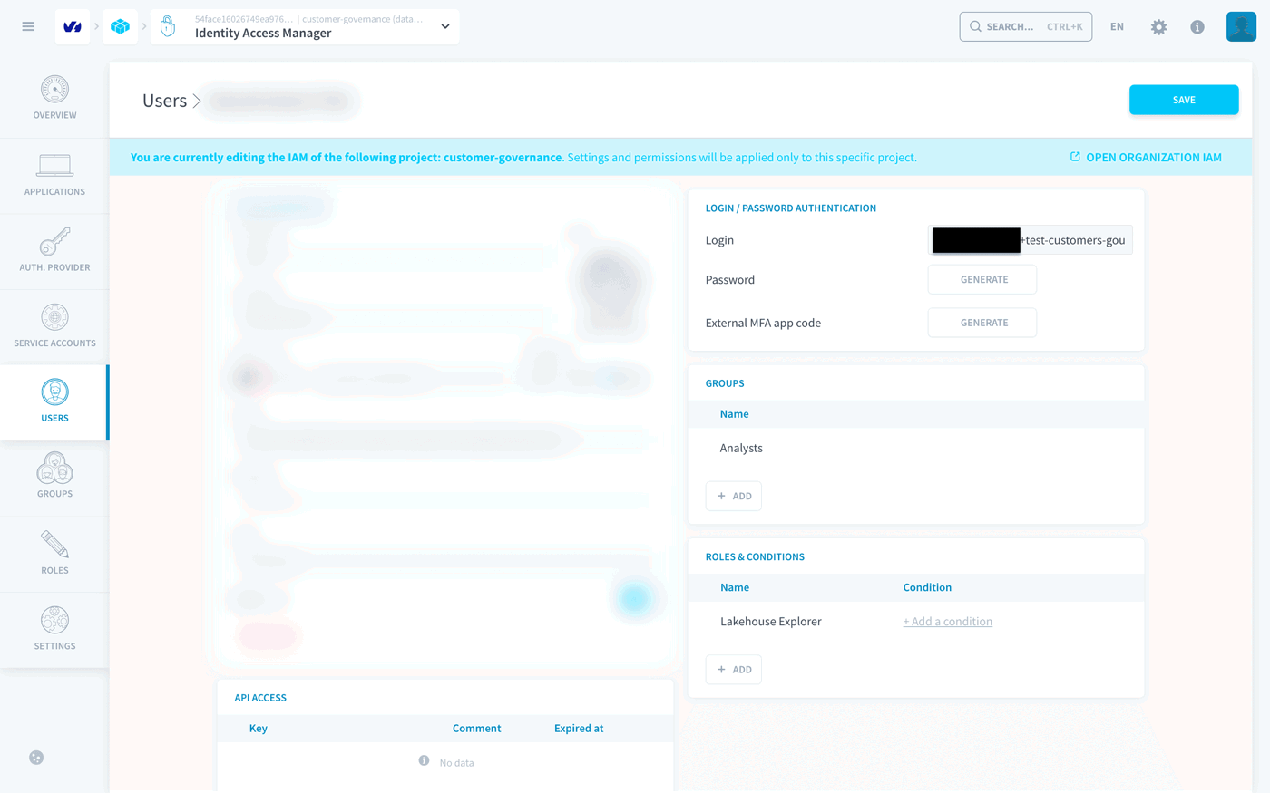The test user in the project IAM: group Analysts, role Lakehouse Explorer only