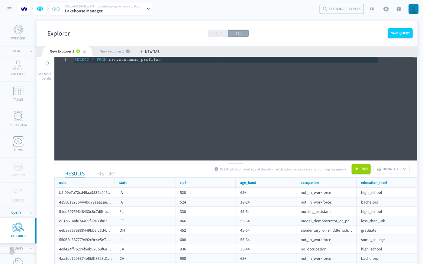 The Explorer returning the view customer_profiles to the Analyst, with the columns zip3 and age_band