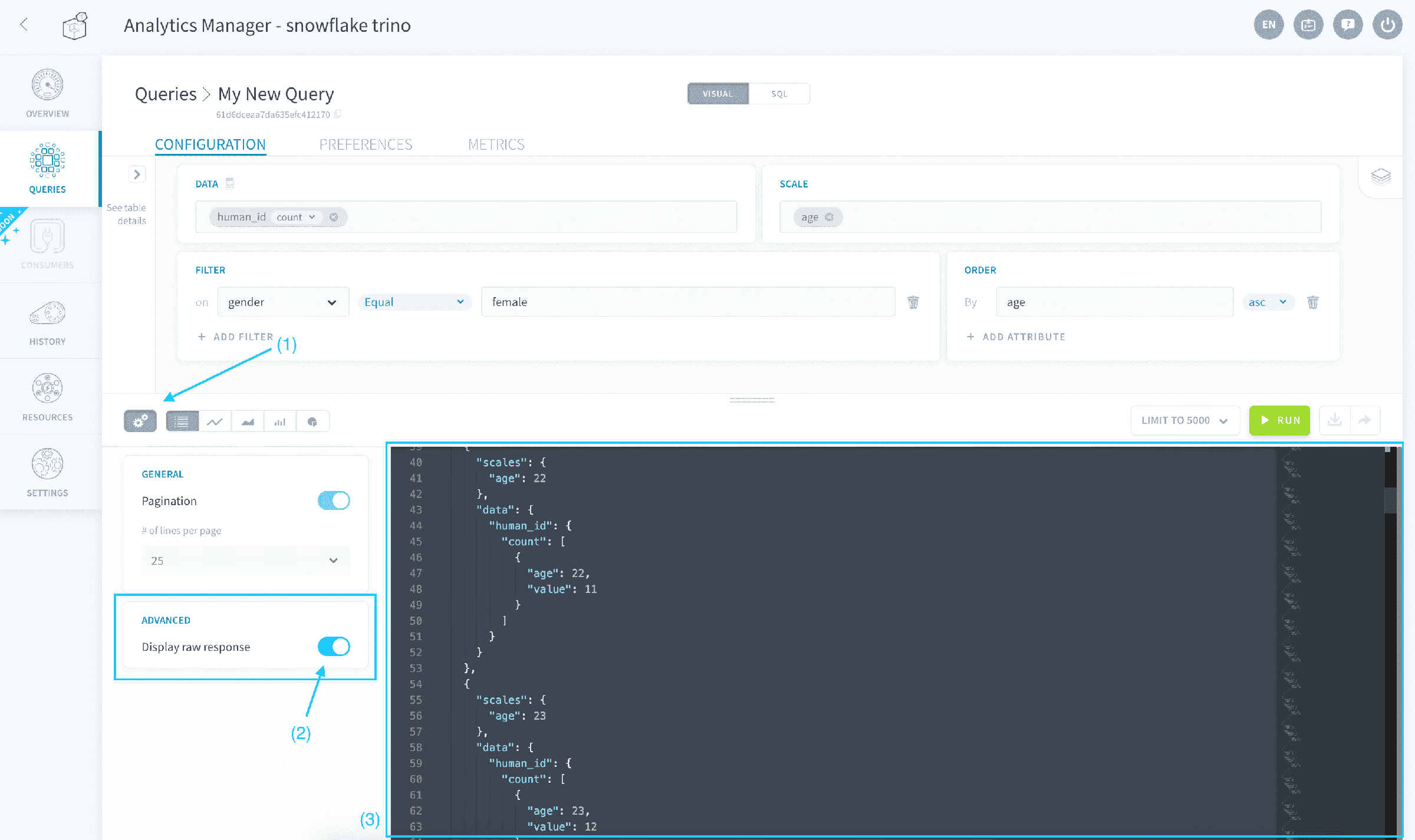 Discover the response format — Visual raw response