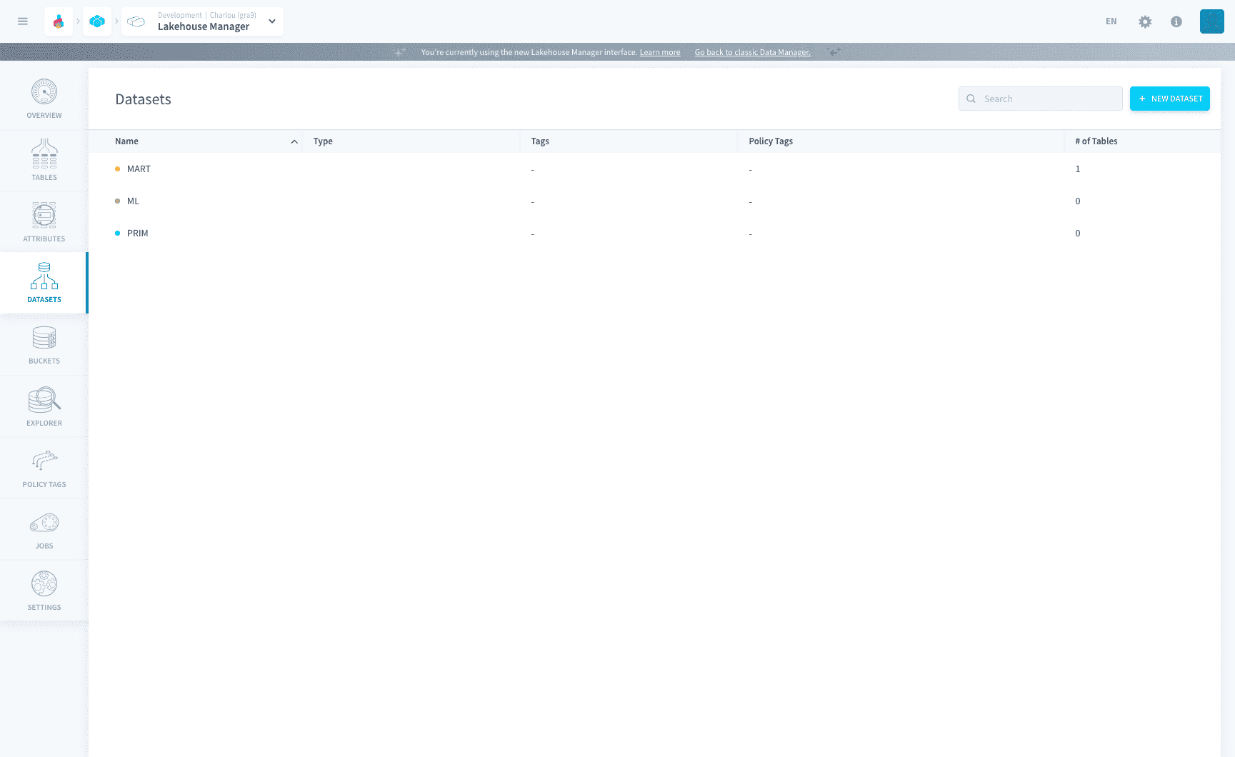 Datasets