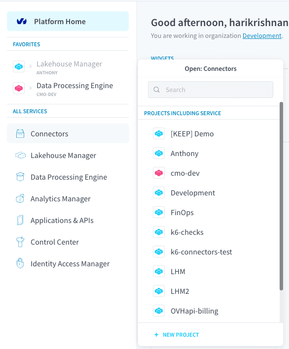 open service in Project