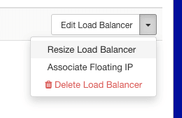 Choose Resize Option