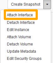 Horizon attach interface