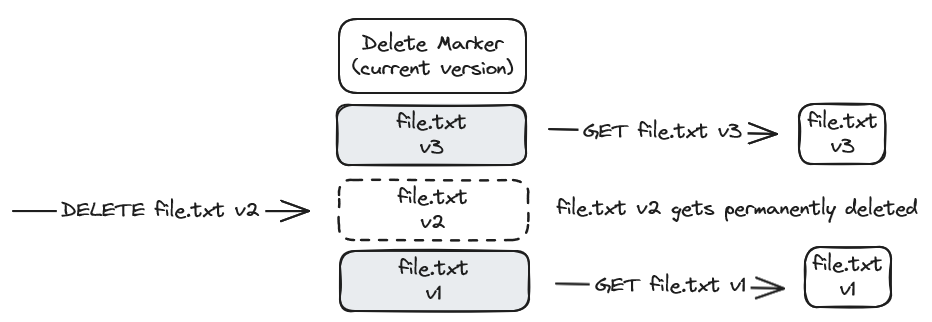 Downloading or Deleting Specific Versions