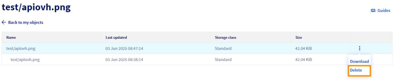 delete current or versioned objects
