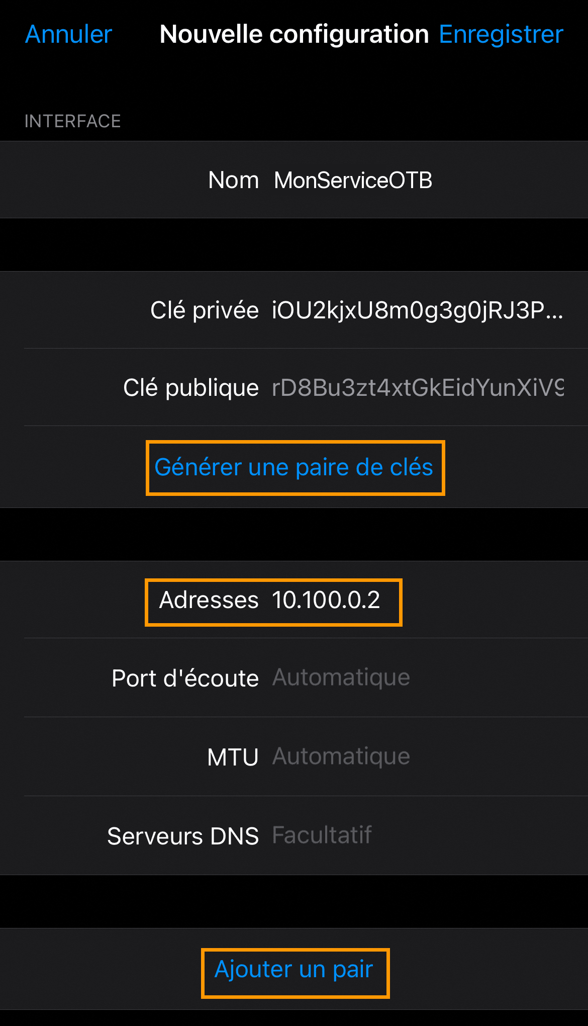 Configuration de l'interface WireGuard sur iOS