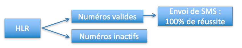 Schéma du flux HLR : tri des numéros valides et inactifs avant envoi