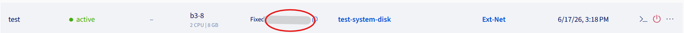 Active instance with its public IP address