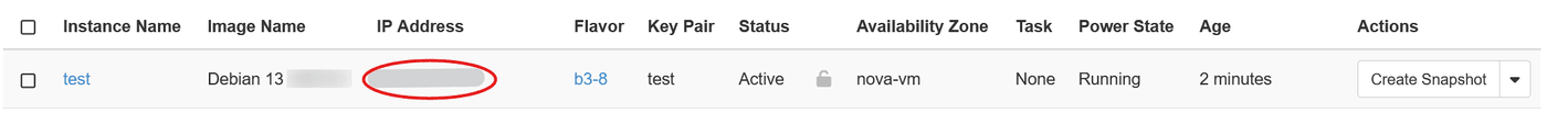 Instance in Active status with its public IP address