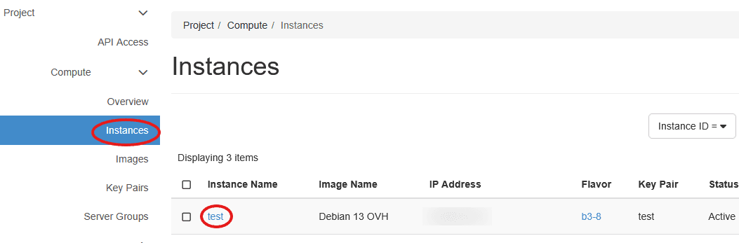 Instances list with the test instance