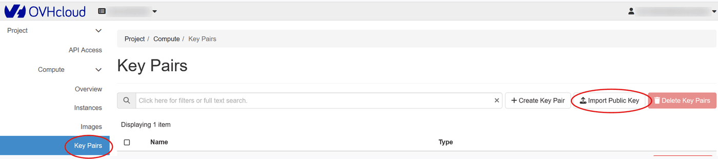 Key Pairs section with the Import Public Key button